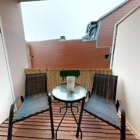 Le Nid Cosy + 1 Garage * Colmar